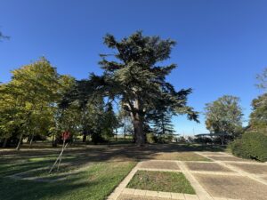 Jardin de Château La Brie Jardin de Château La Brie